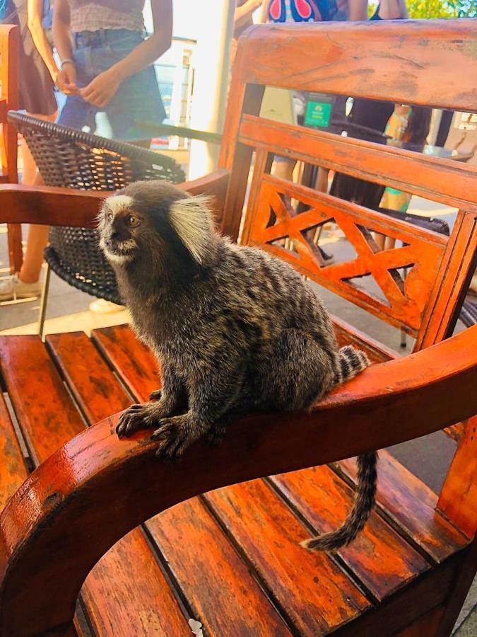 Lapa Casa Hostel Rio de Janeiro Dış mekan fotoğraf